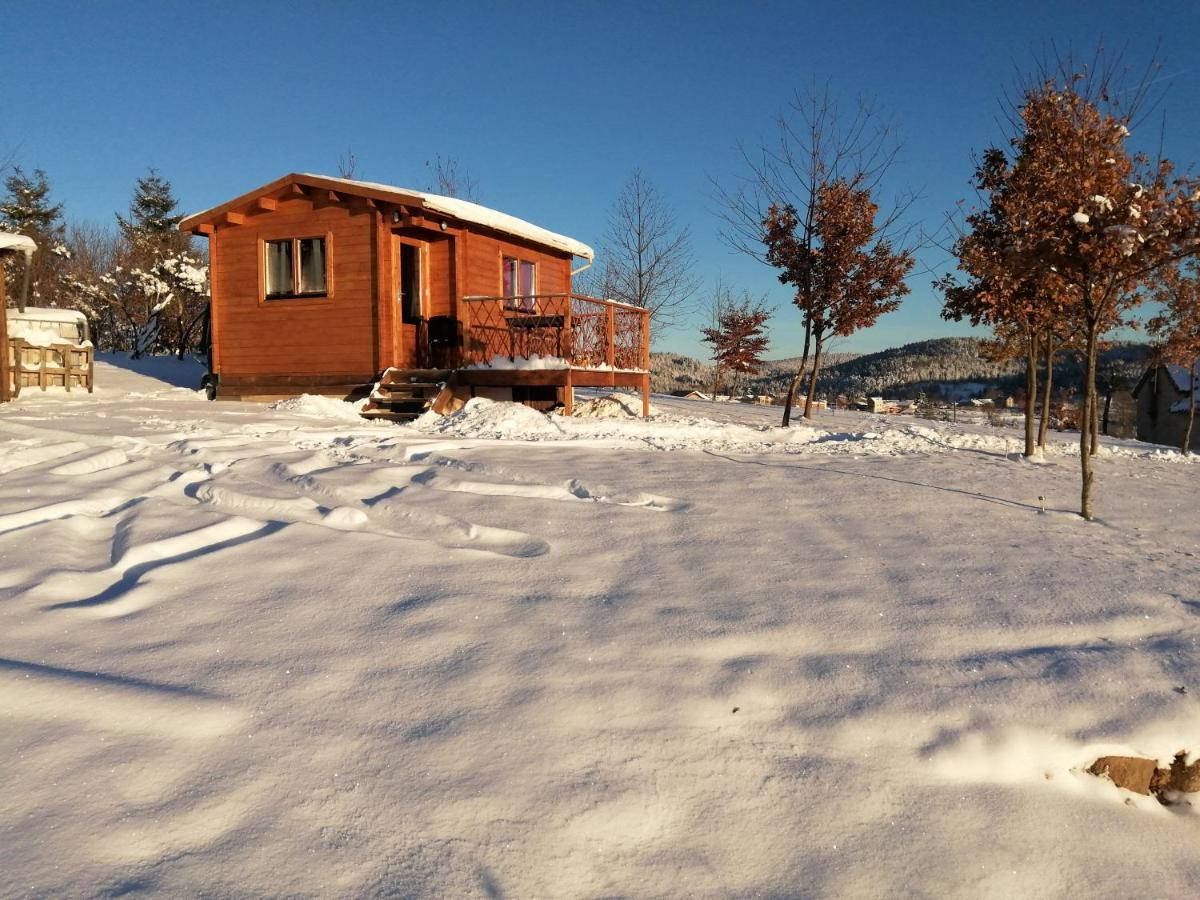 Champagnac-le-Vieux Le Chalet Des Etoiles מראה חיצוני תמונה